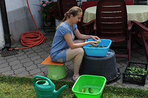 %_tempFileNamejarmila185%